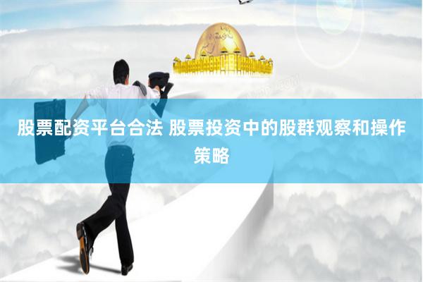 股票配资平台合法 股票投资中的股群观察和操作策略