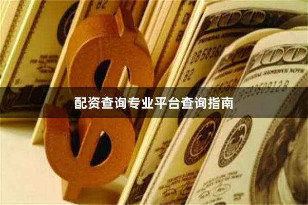 配资查询专业平台查询指南