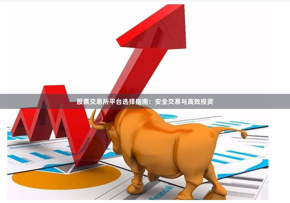股票交易所平台选择指南：安全交易与高效投资